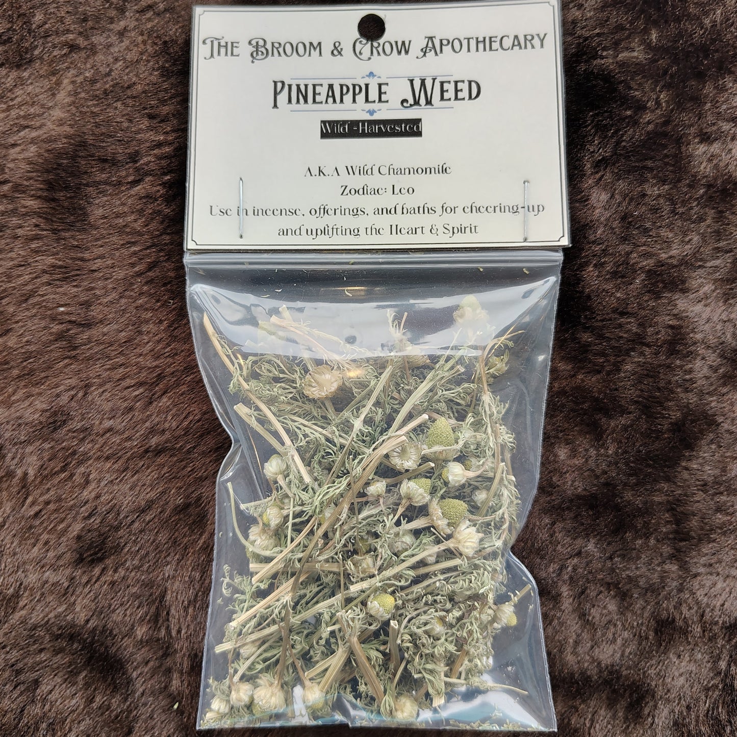 Pineapple Weed